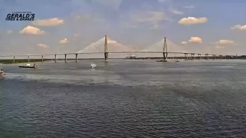 Charleston Aquarium South Carolina Live Webcam