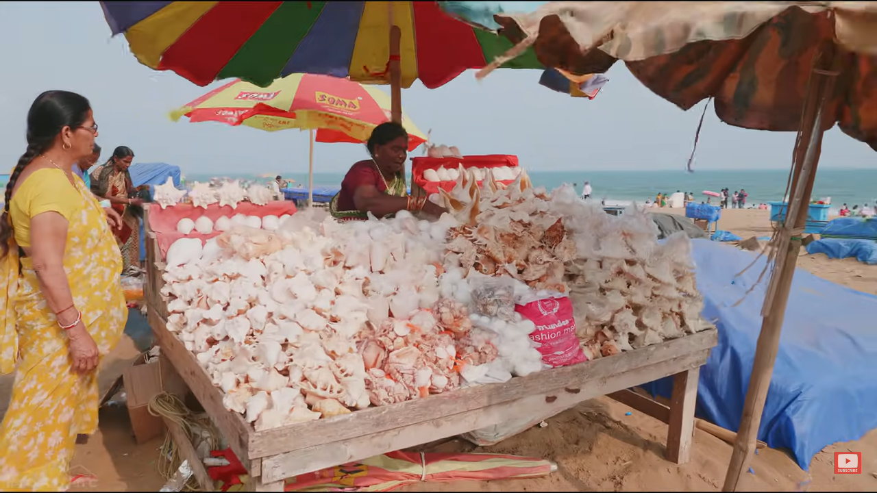 India Cams Live HD Views Around The Country