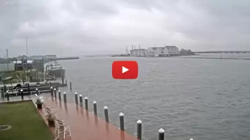 Chincoteague Island Live Webcam New In Virginia, Usa Chincoteague Island Live Webcam New In Virginia, Usa