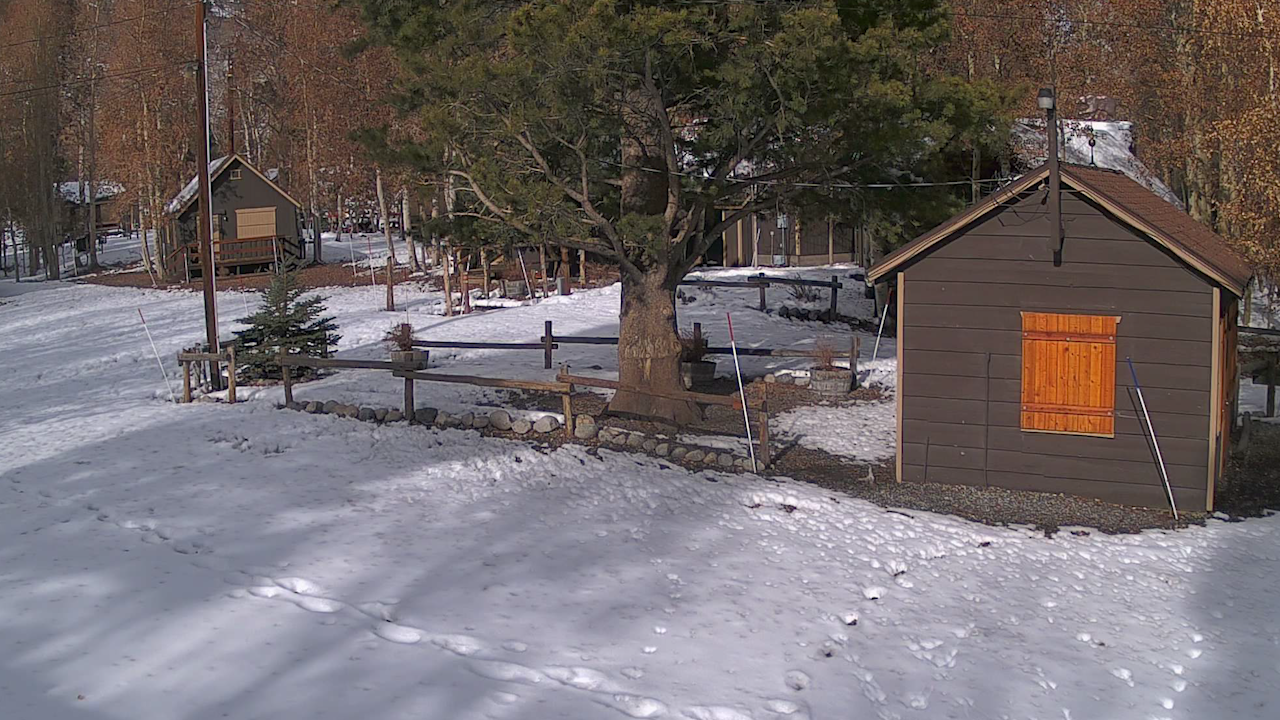 Silver Lake Webcam | June Lake, CA