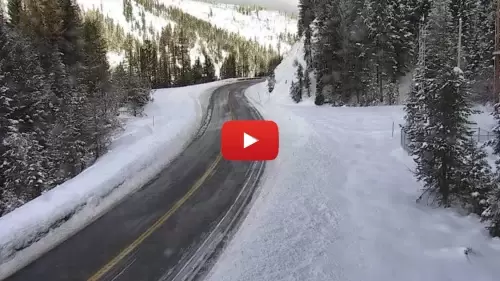 Lost Trail Pass Webcam