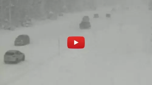 Santiam Pass Cam | Oregon