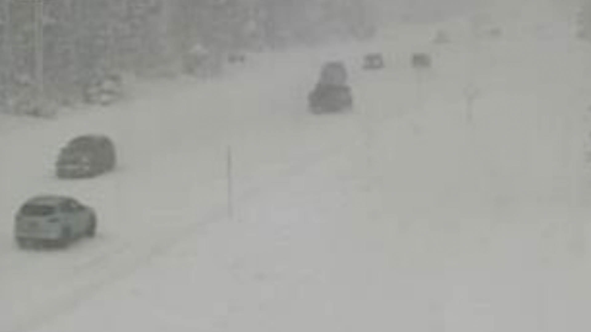 Santiam Pass Cam | Oregon