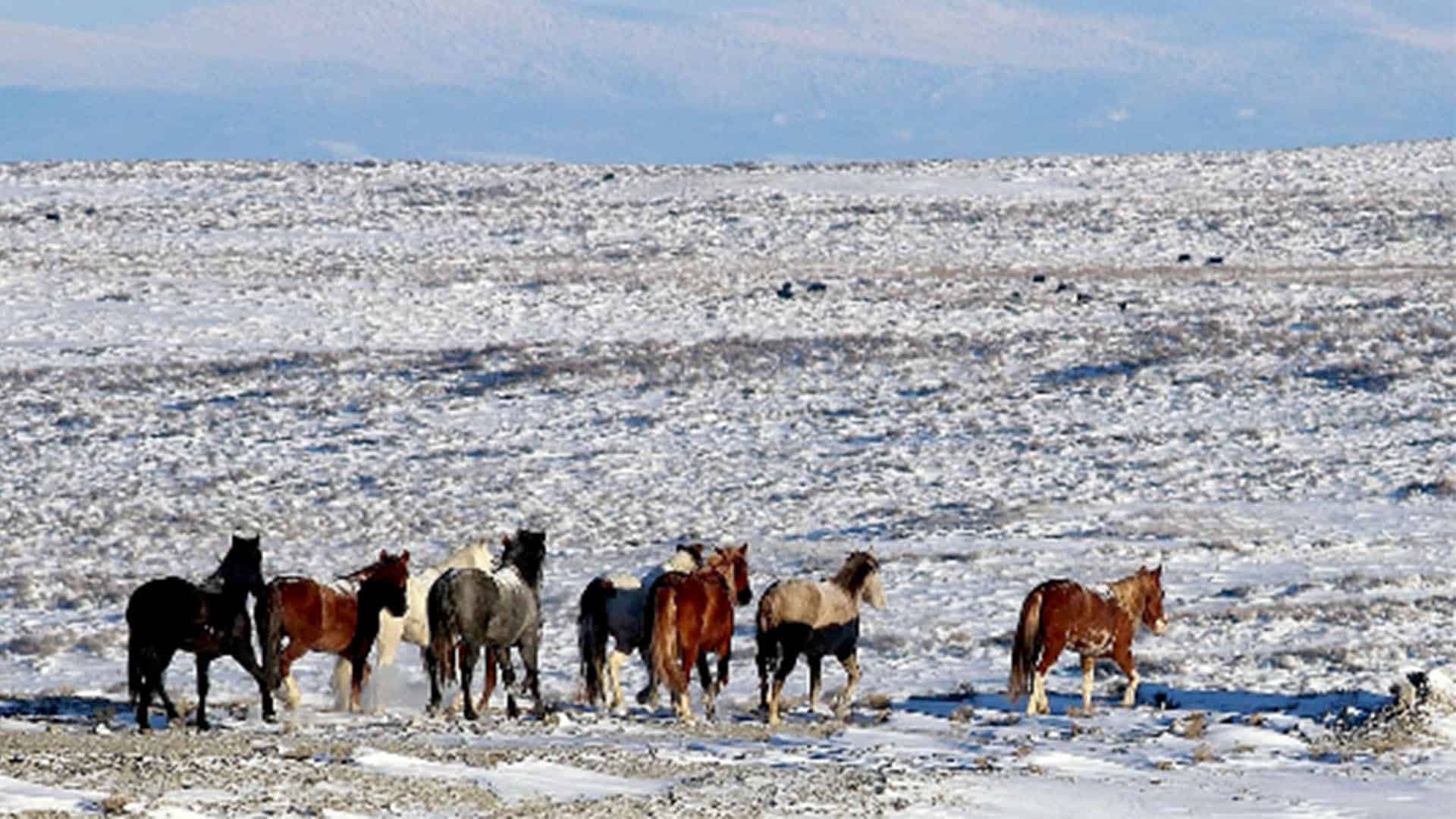 Baggs, Wyoming Weather
