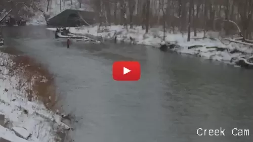 Elk Creek Webcam |  lake City, Pa 