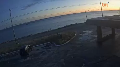 Webcam Provincetown | MA