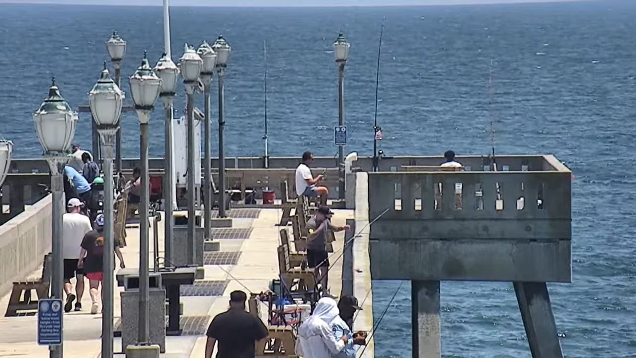 Live Webcam Johnnie Mercers Fishing Pier – NC, USA