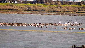 Webcam Poole Harbour | Dorset, England, Uk