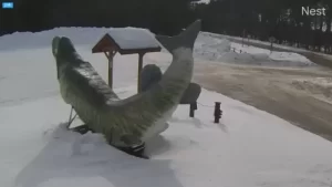 Boulder Junction Webcam | Wi