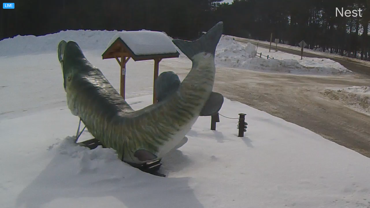 Boulder Junction Webcam | WI