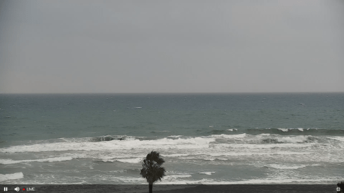 Cardiff State Beach | Encinitas, CA