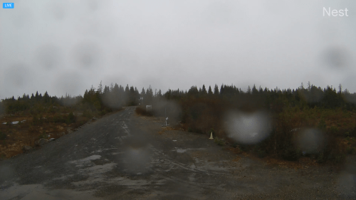 Saint Paul Island, AK