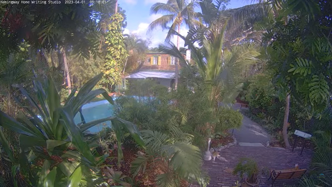 Live Webcam Ernest Hemingway House – Writing Studio