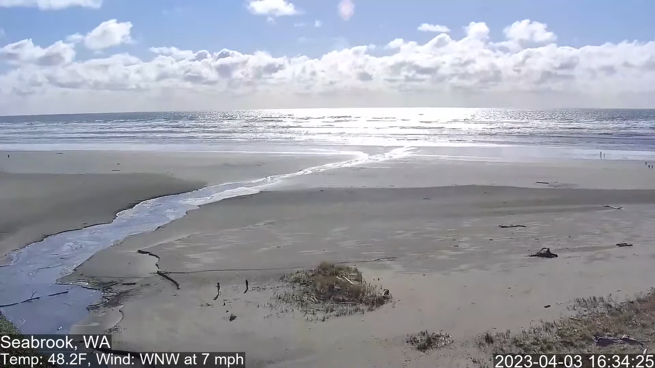 Live Webcam Seabrook, Washington Pacific Beach Video