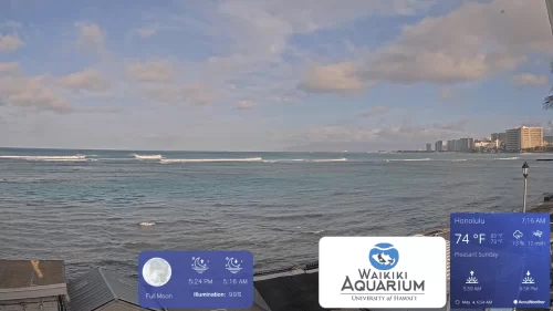 Waikiki Beach Cams