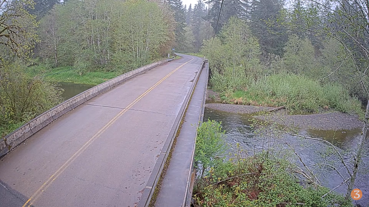 Live Webcam Schafer State Park | Elma, WA