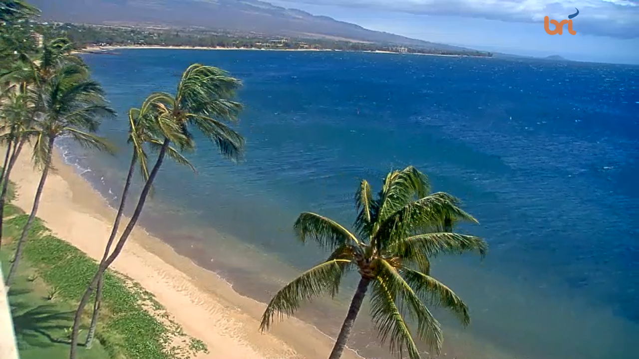 Sugar Beach Maui Webcam – Hawaii – Real Time Live Video