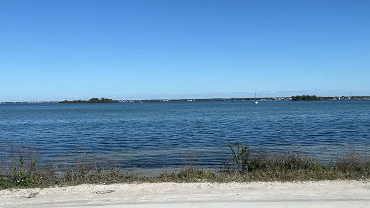 Palm Harbor Florida Live Webcam – USA