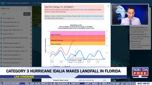 Athena Florida Live Webcam
