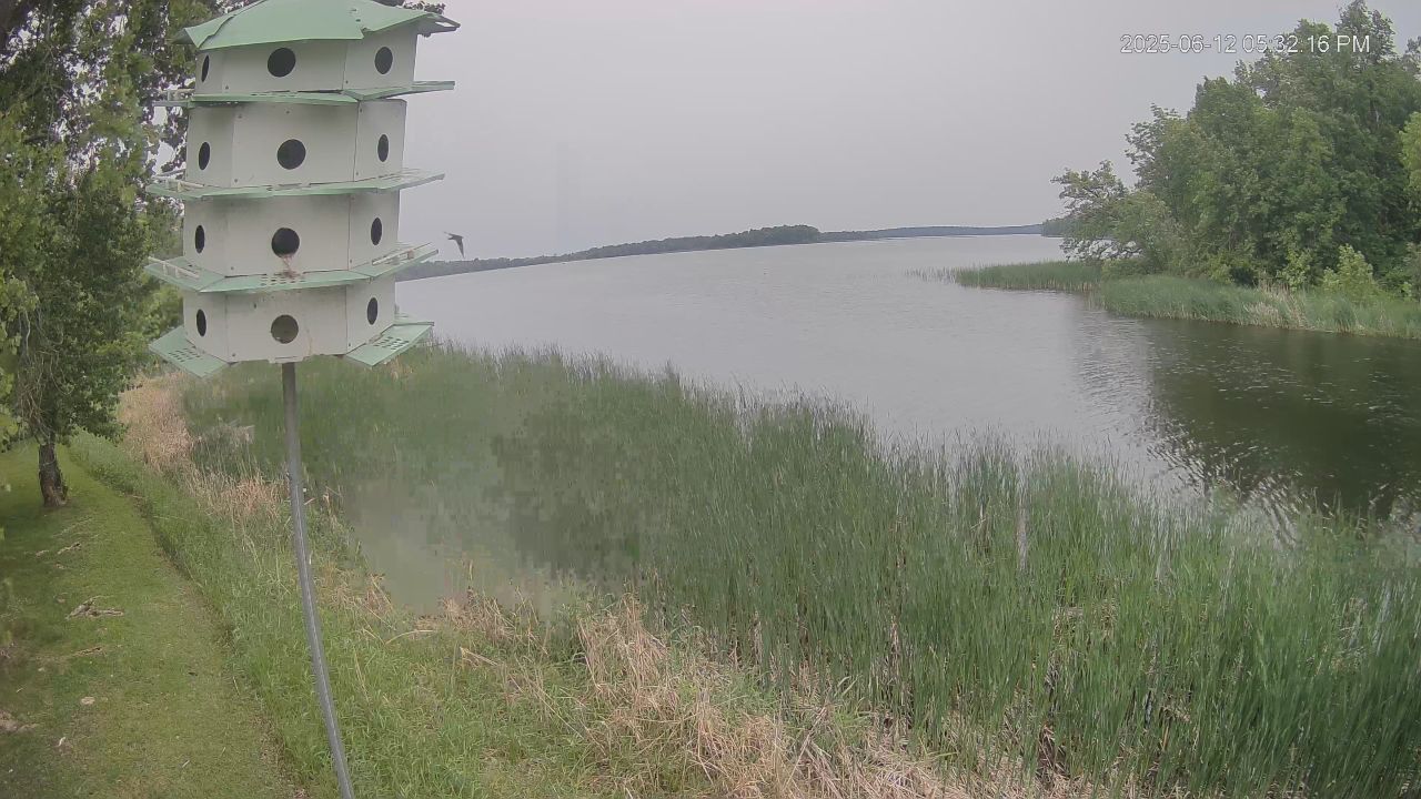 Lake Winnibigoshish Webcam – Deer Lake, Minnesota