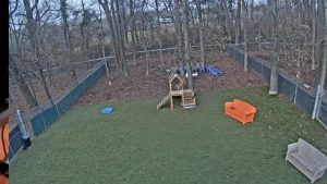 Dogwood Acres Webcam