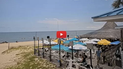 Blue Parrot Beach Cam - St George Island