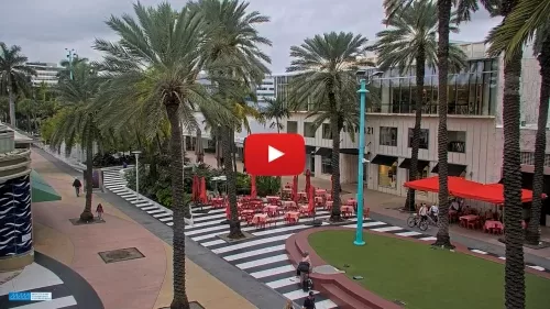 Lincoln Rd South Beach Live Cam