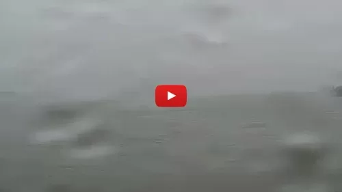 Savannah Pilots Dock Live Webcam New Tybee Island, Georgia