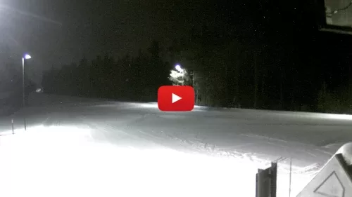 Yellowstone National Park Live Cam West Entrance New In Wyoming