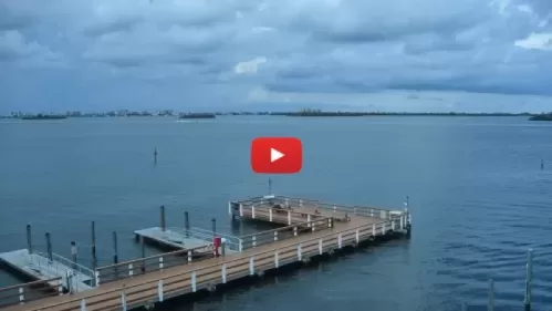 Dunedin Florida Webcam