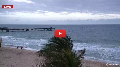 Fort Lauderdale Beach Live Cam New In Florida