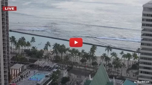 Hilton Waikiki Beach Live Webcam New In Honolulu, Hawaii