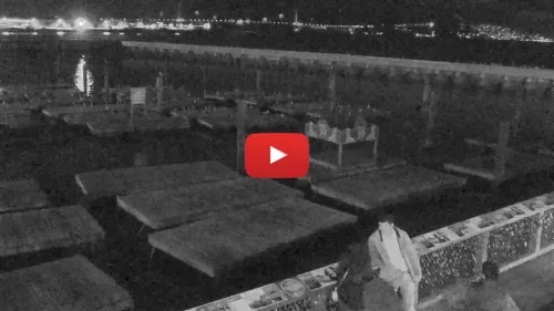 Pier 39 Sea Lions Cam New In California