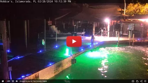 Islamorada, Florida Robbie's Marina Live Webcam