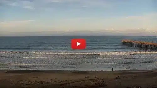 Cayucos Beach Live Surf Cam New In California