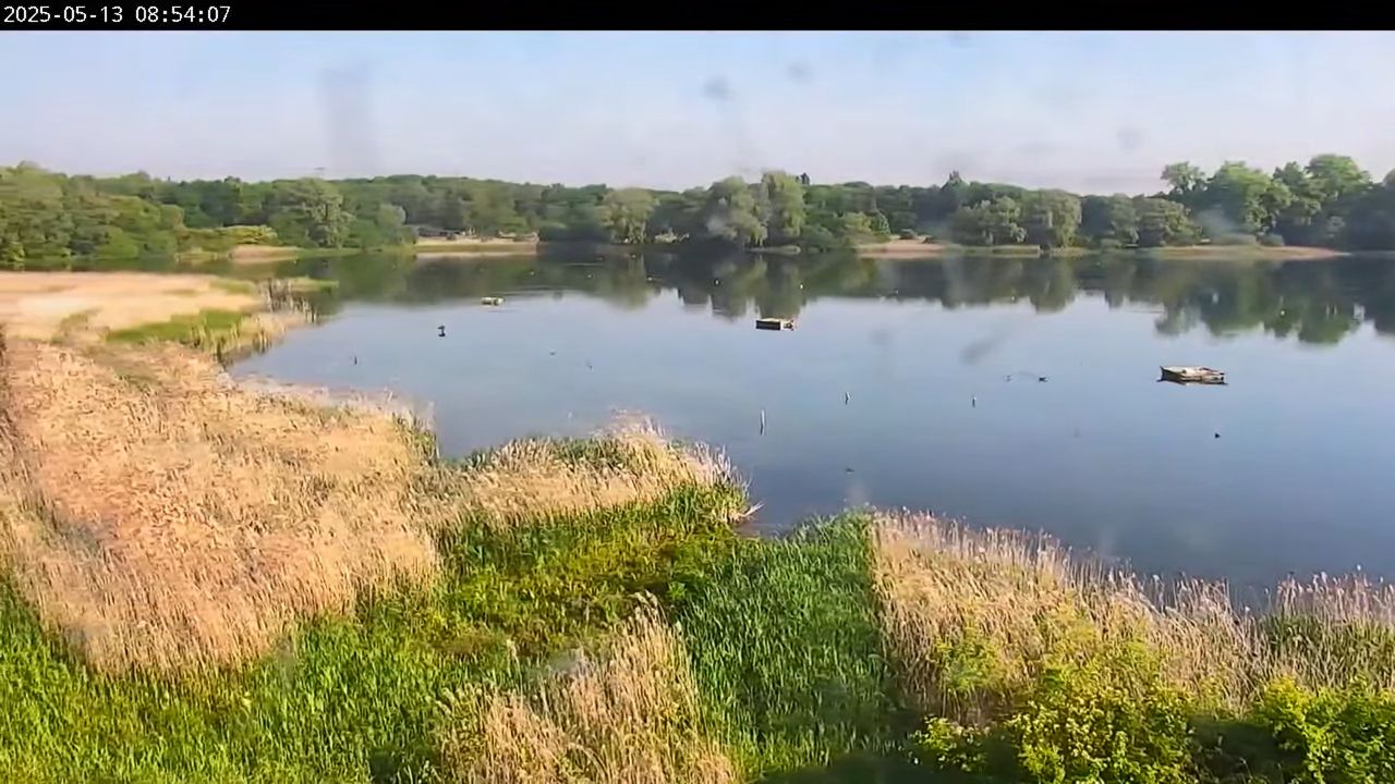 Geraardsbergen Webcam | East Flanders, Belgium