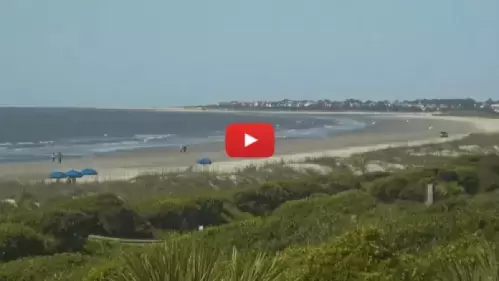 Kiawah Island Resort Charleston, Sc Live Webcam