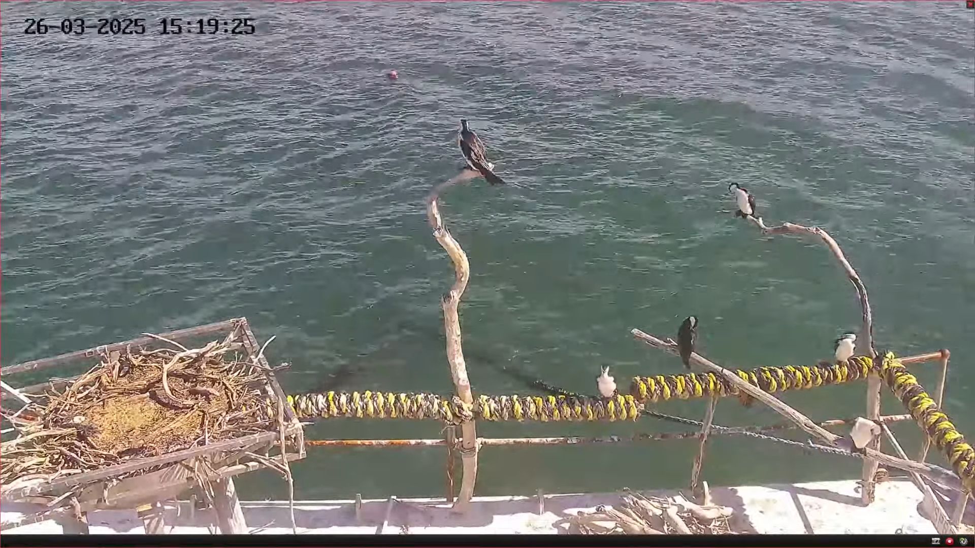 Port Lincoln Webcam – Australia