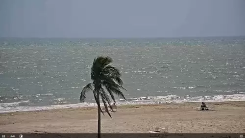 Island Inn Beach | Sanibel Island, Florida