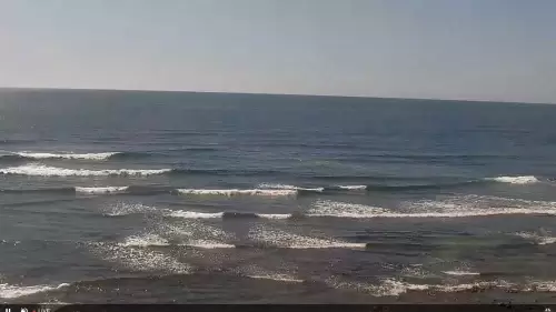 Carlsbad Live Cam Beach Surf – Terramar Point