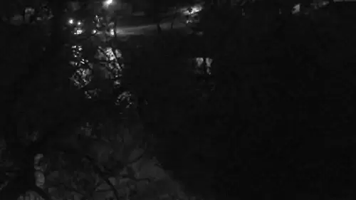 Miles City Webcam | Eagle Cam | Montana