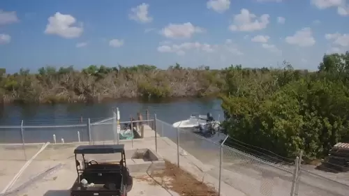 Matlacha Webcam | D and D Matlacha Bait & Tackle | Live Video