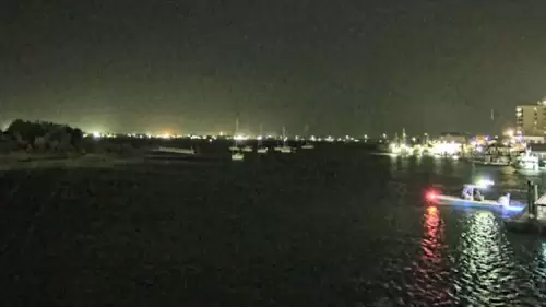 Sanitary Fish Market Webcam | Morehead City, NC