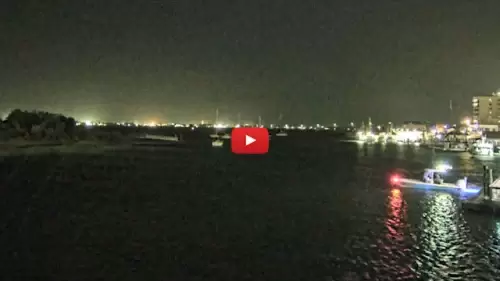 Sanitary Fish Market Webcam | Morehead City, Nc