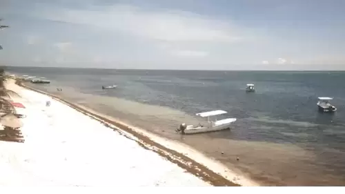 Puerto Morelos Webcam – Casa Toucan – Quintana Roo, Mexico