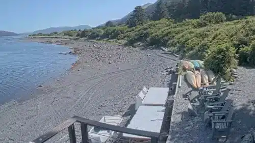 Kodiak Alaska Webcam | Raspberry Island Beach Live Video