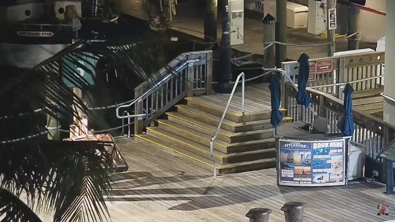 Marker Hotel Key West Webcam – Live Video | Florida