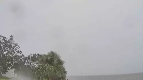 St Marks Florida Webcam | Lighthouse