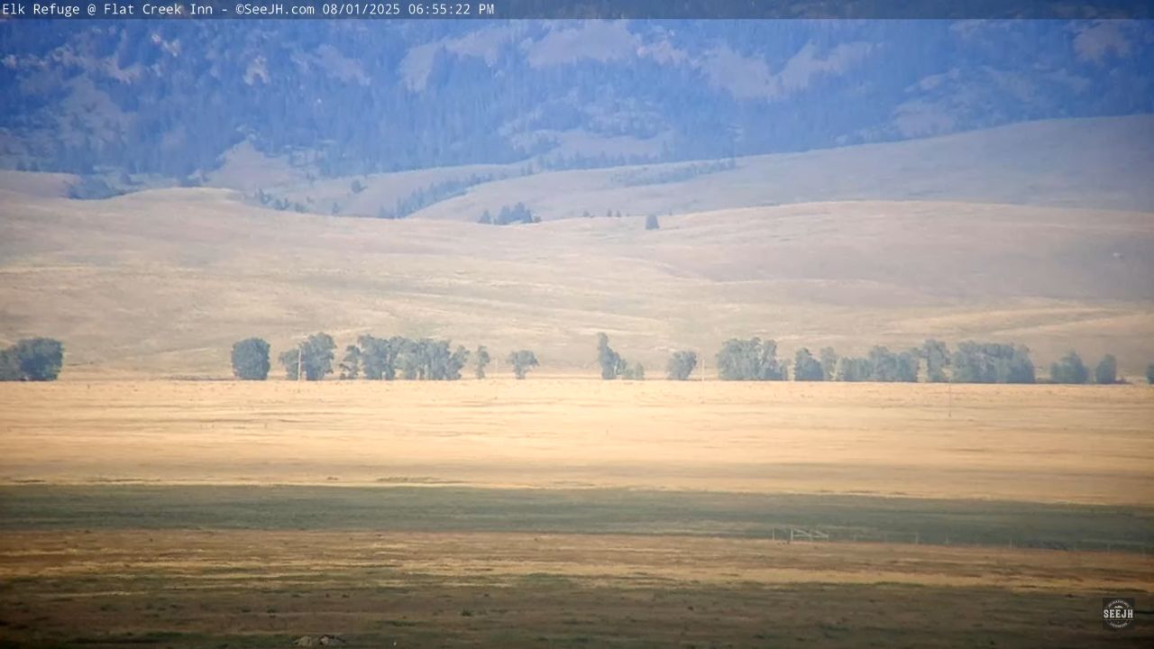 Jackson Hole Webcam Elk Refuge – Wyoming, Live Video