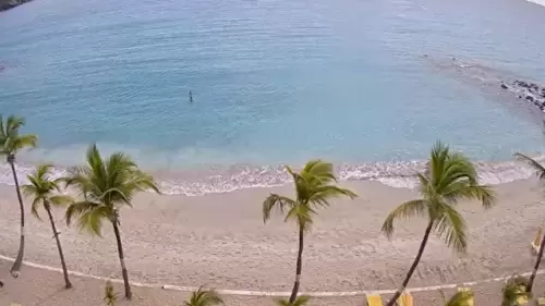 Little Bay Beach – Philipsburg – Sint Maarten | HD Video Cam